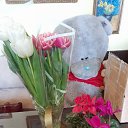 ���� ����, ������, 61 ��� - ��������� 9 ����� 2023