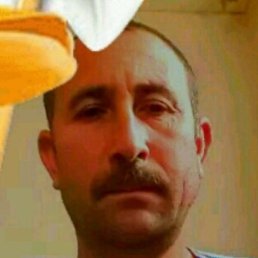 ����, ������, 50 ���