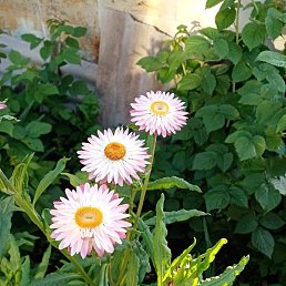 Vyacheslaw, ������, 46 ���