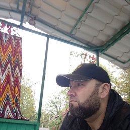 ������, ������, 37 ���