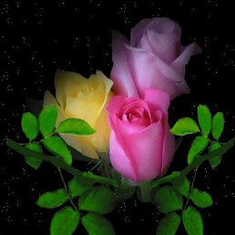 ������, ���������, 48 ���