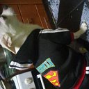 ���� �������, ��������� - ��������� 30 �������� 2023 � ������ ������ ��������