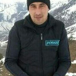 �����������, �������, 38 ���