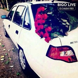 �������, ������, 32 ����