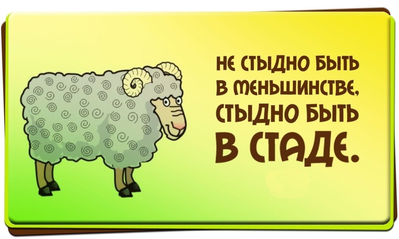 �������� - 8 ���� 2023 � 11:30