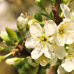 Natalia, ��������, 51 ���