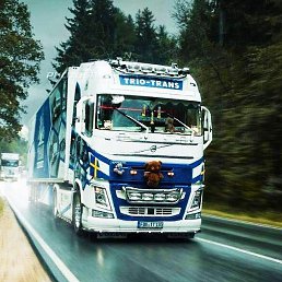 �����, ����, 44 ����