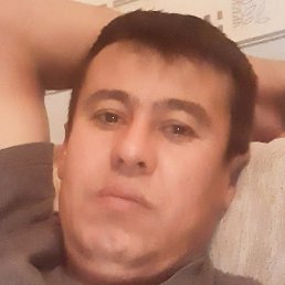 �����, ��������, 41 ���