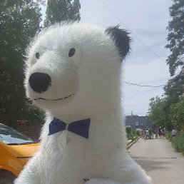 ���� �����, �������, 41 ��� - ��������� 21 ���� 2023