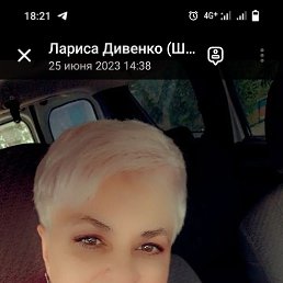 ���� ����, ������, 56 ��� - ��������� 12 ������� 2023