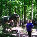 ���� ��������, ������������, 57 ��� - ��������� 3 ���� 2023 � ������ ���� ����������