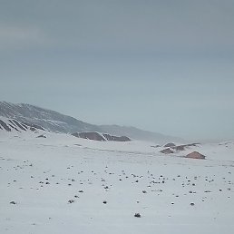 �, ������, 37 ���