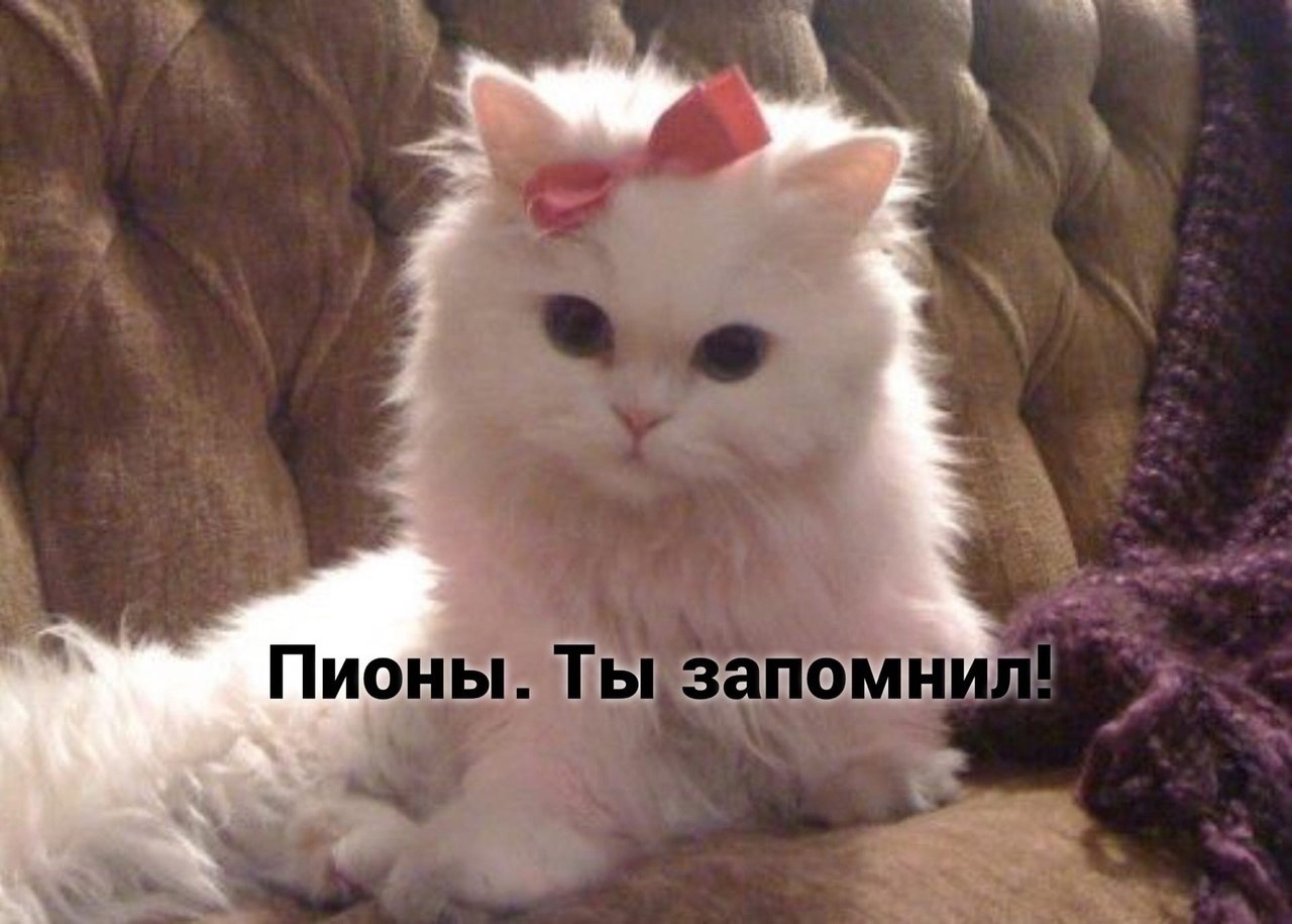 .. - 2