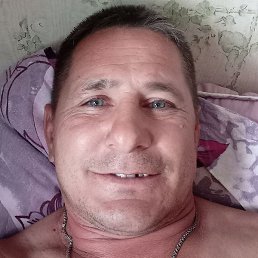 ������, ���������, 49 ���