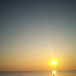 ���������, �����, 48 ���