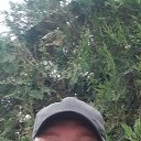 ���� ������, ������, 40 ��� - ��������� 17 ���� 2023 � ������ ���� ����������