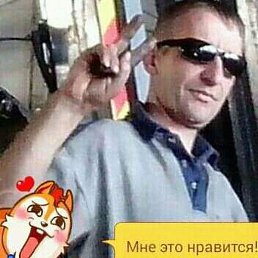 ����, �������, 48 ���