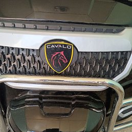 ���� �����, �����, 39 ��� - ��������� 17 ������� 2023