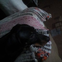 ���� Sasha, �����, 44 ���� - ��������� 5 ������� 2023