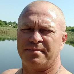 ����������, �������, 46 ���