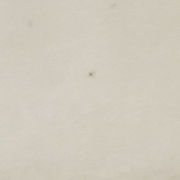 ���������, �����, 49 ���