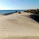  Alex, , 61  -  24  2023    