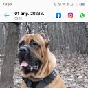 ���� ������� �������, ������, 52 ���� - ��������� 3 ������ 2023 � ������ ���� ����������