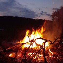 ����, ������, 48 ���