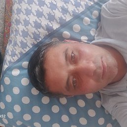 ����, �������, 41 ���