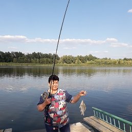 �������, ���������, 66 ���