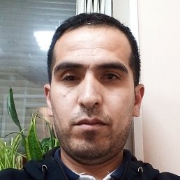 �����, �����-���������, 40 ���