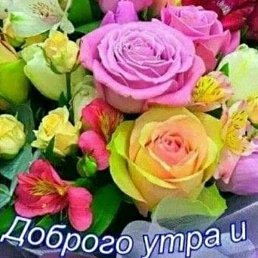 ��������, �������, 50 ���