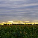 ���� �����, ������, 49 ��� - ��������� 25 ������� 2023 � ������ ���� ����������