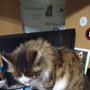 ���� ����, ������������, 69 ��� - ��������� 16 ��� 2023