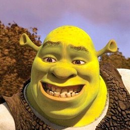 �����, ������-��-����, 21 ���