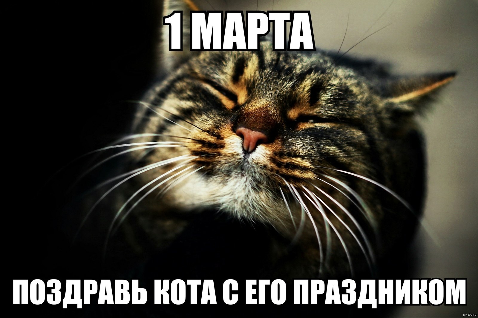  - 1  2023  11:42