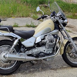 Harri, ���������, 54 ����