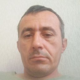 ������, �����-���������, 43 ����