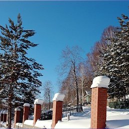 ������, ������, 46 ���