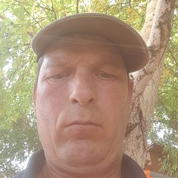 ����, ������, 44 ����