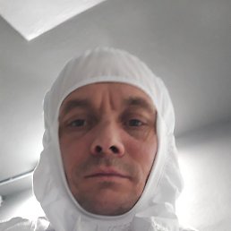 �������, ������, 41 ���