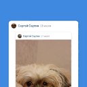 ���� ������, ������ ��������, 46 ��� - ��������� 29 ���� 2023 � ������ ���� ����������