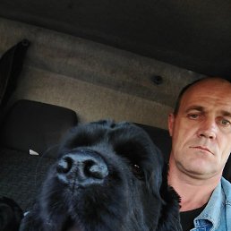 �������, �����-���������, 50 ���