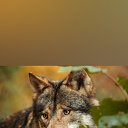 ���� �����, �����, 49 ��� - ��������� 4 ������ 2023 � ������ ���� ����������