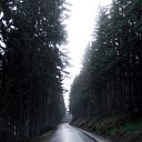 ���� �����, �������, 51 ��� - ��������� 27 ��� 2023 � ������ ���� ����������