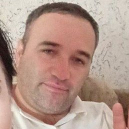 �����, ������, 49 ���