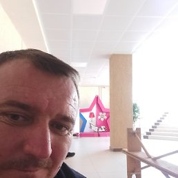 ����, �������, 40 ���