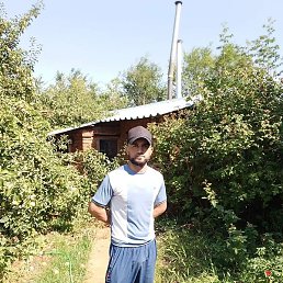 ����, ������, 41 ���