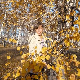 �����, �������������, 46 ���