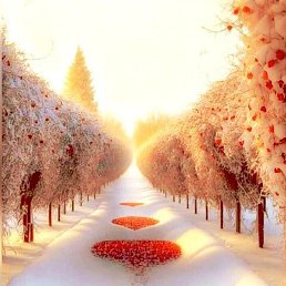 ����, ������, 37 ���